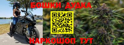 прущий лед Кингисепп
