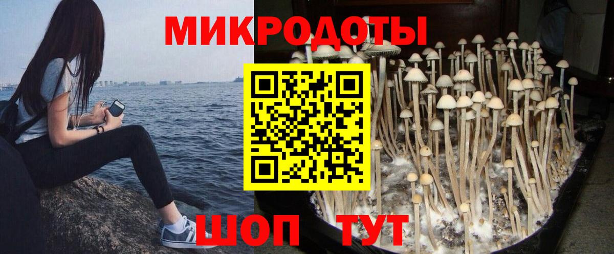 Верхний Уфалей  где можно купить наркотик  Вход с VPN  Псилоцибиновые грибы Psilocybe  Псилоцибиновые грибы мицелий 